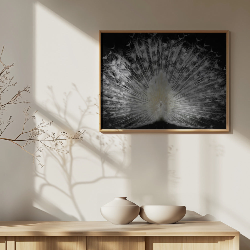 bianco e nero, | Poster - Stampe d’Arte