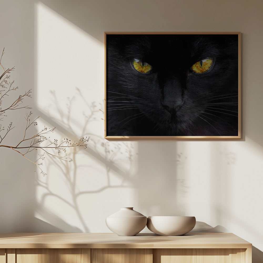 L'ipnotizzatore della notte | Poster - Stampe d’Arte