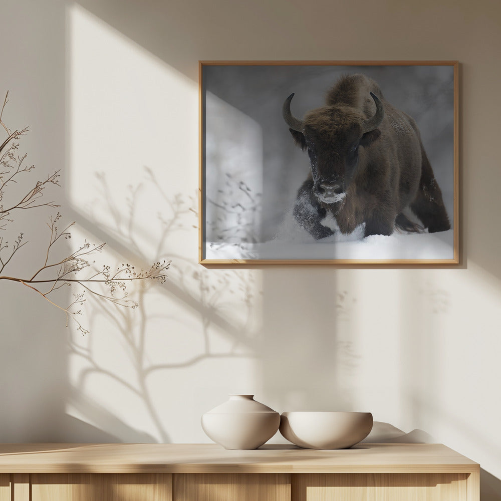 Wiederverwildert | Poster - Kunstdruck