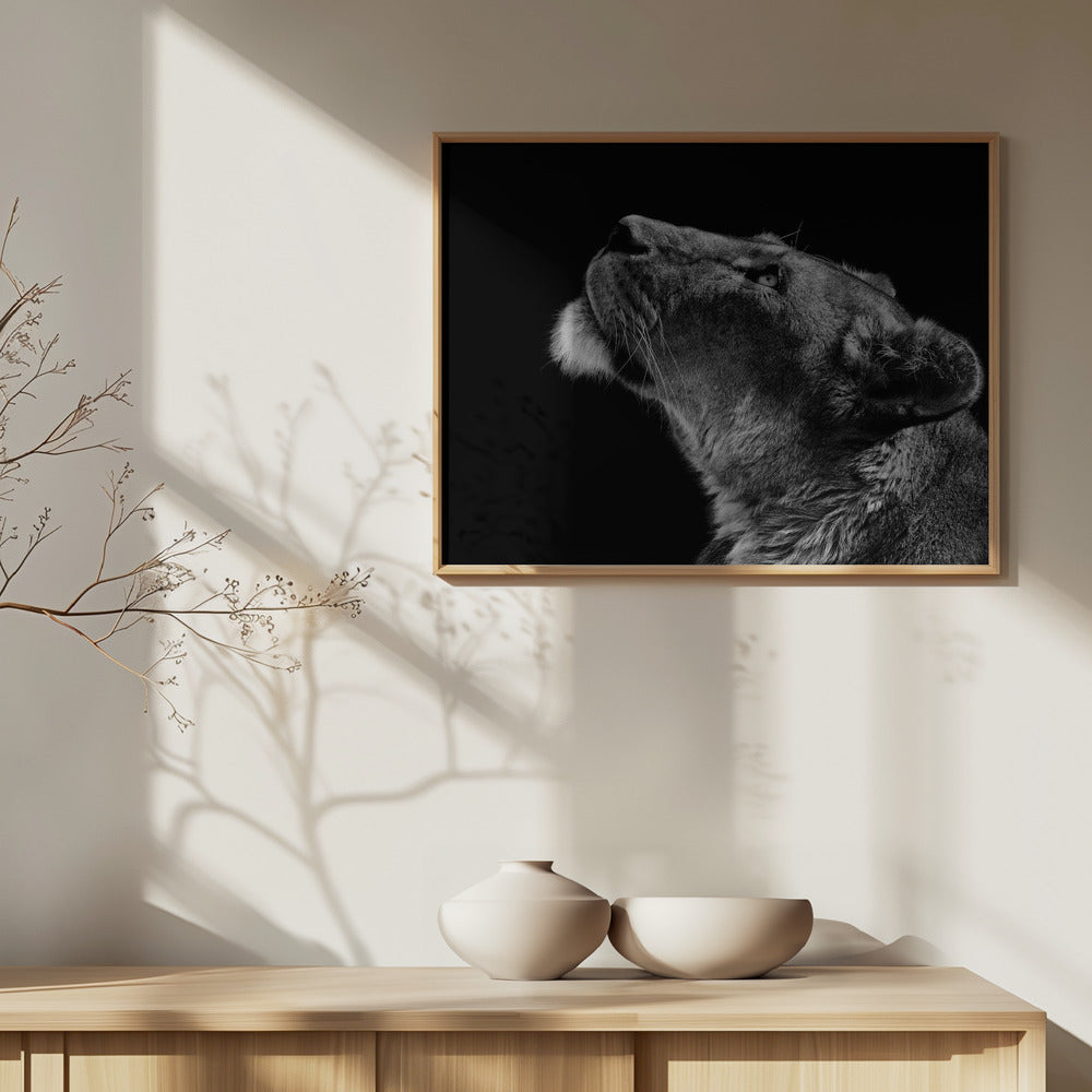 Guardando in alto | Poster - Stampe d’Arte