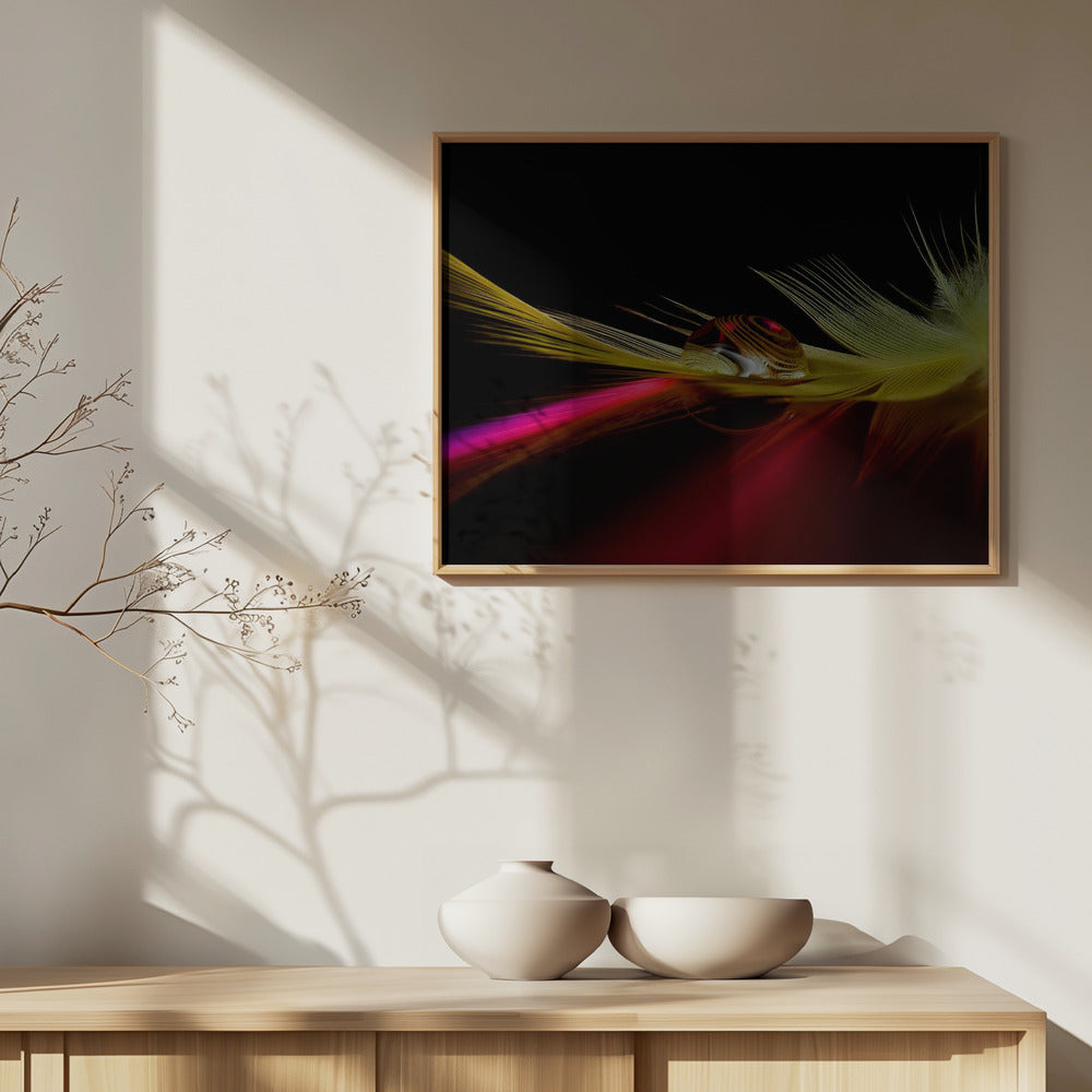 Colores en la gota | Posters - Impresiones de Arte
