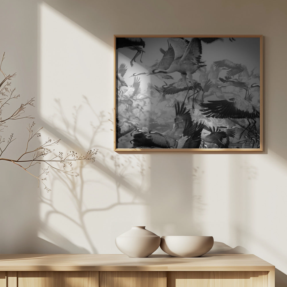 Caos | Poster - Stampe d’Arte