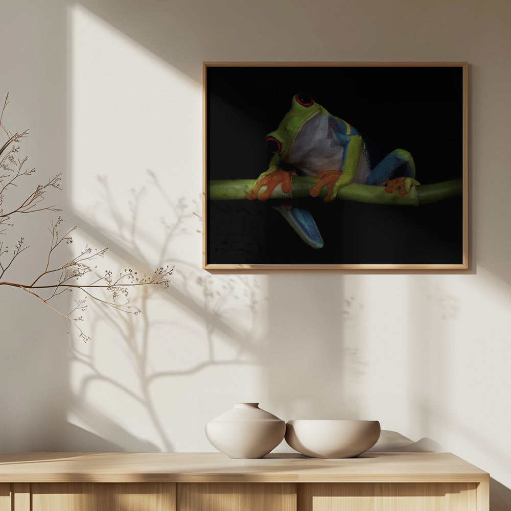 Curiosità | Poster - Stampe d’Arte