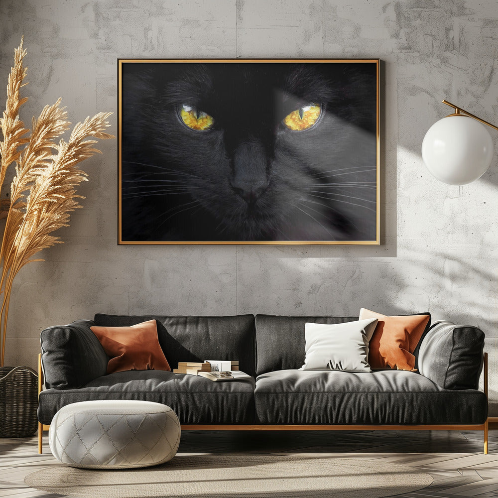 L'ipnotizzatore della notte | Poster - Stampe d’Arte