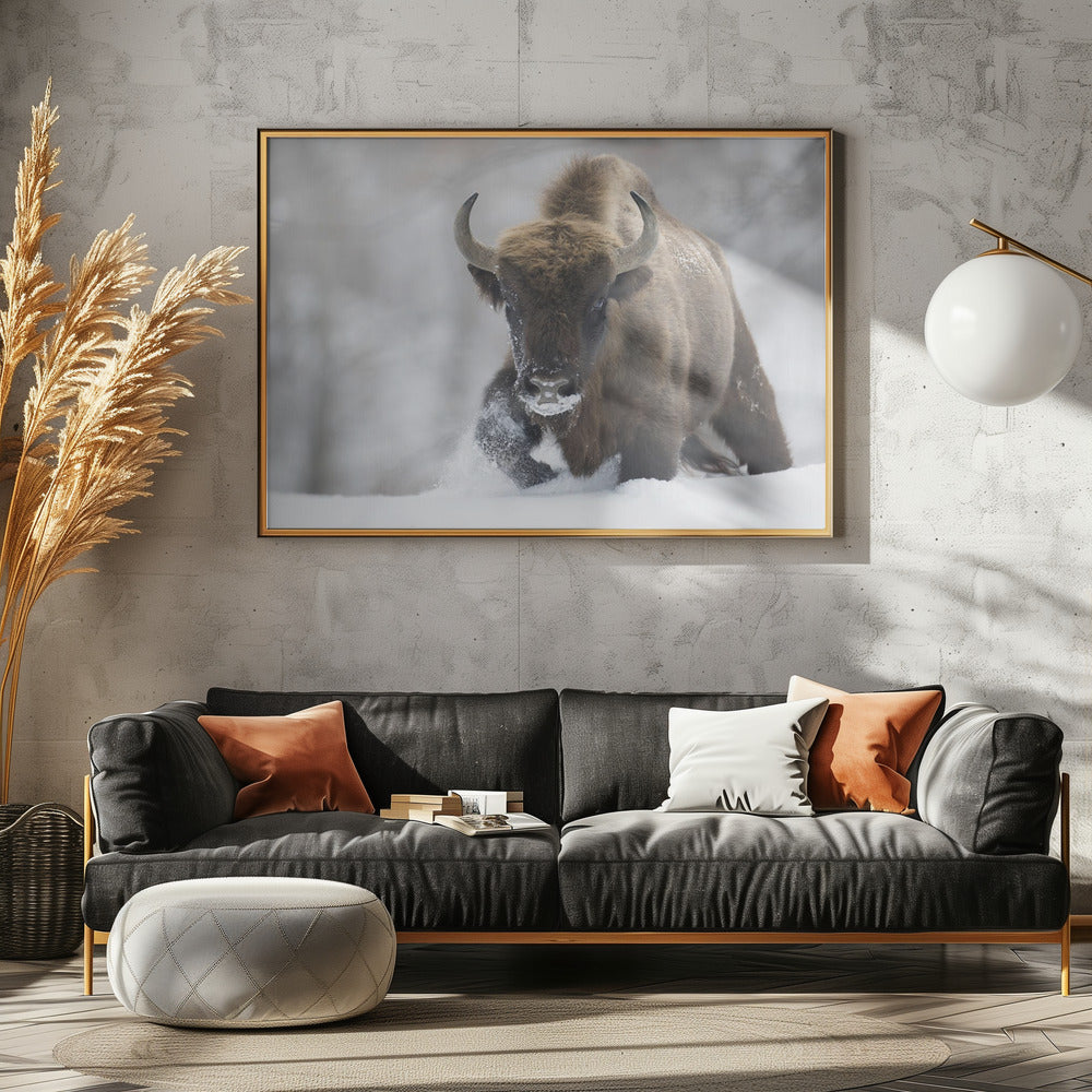 Wiederverwildert | Poster - Kunstdruck