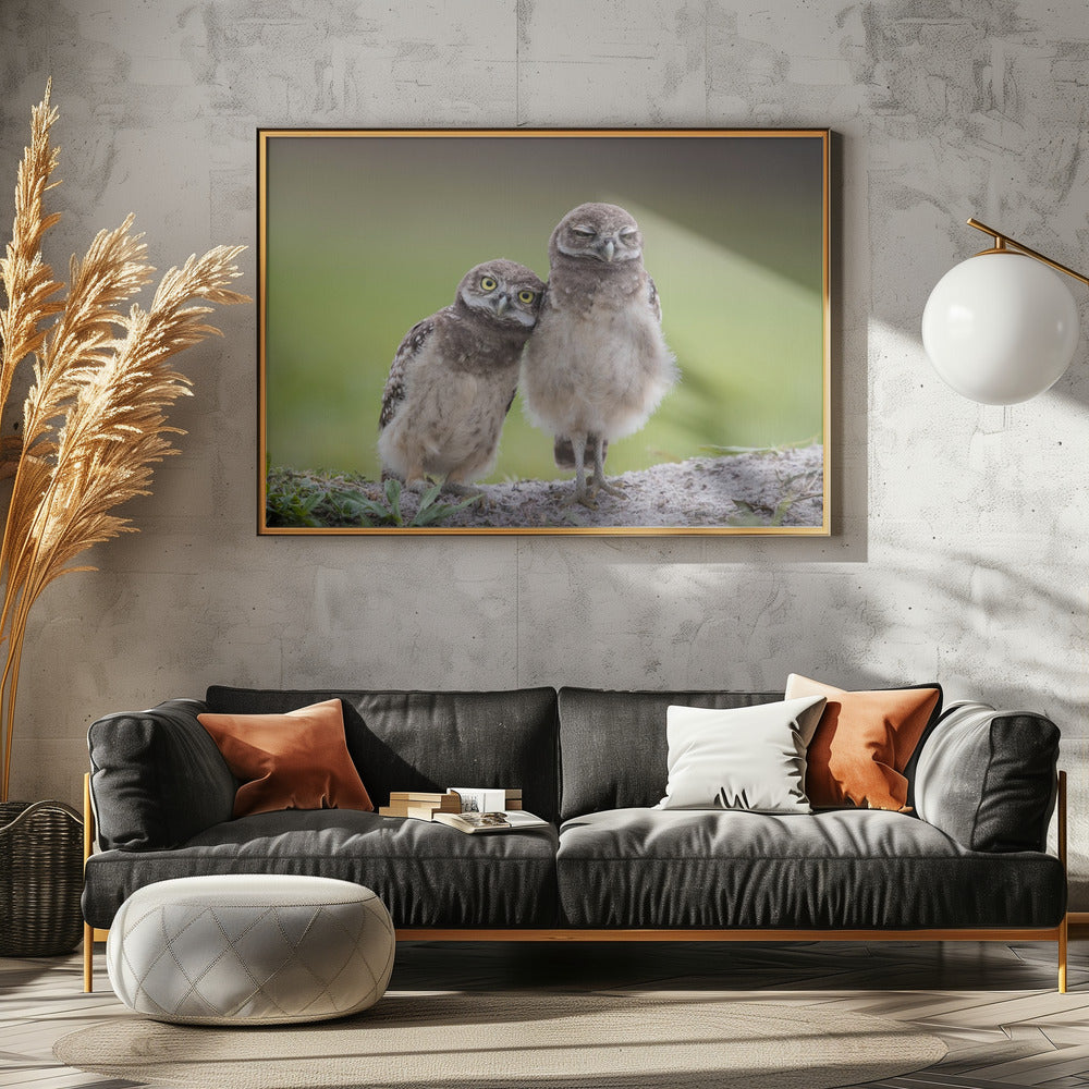 Amis | Posters - Affiche Artistique