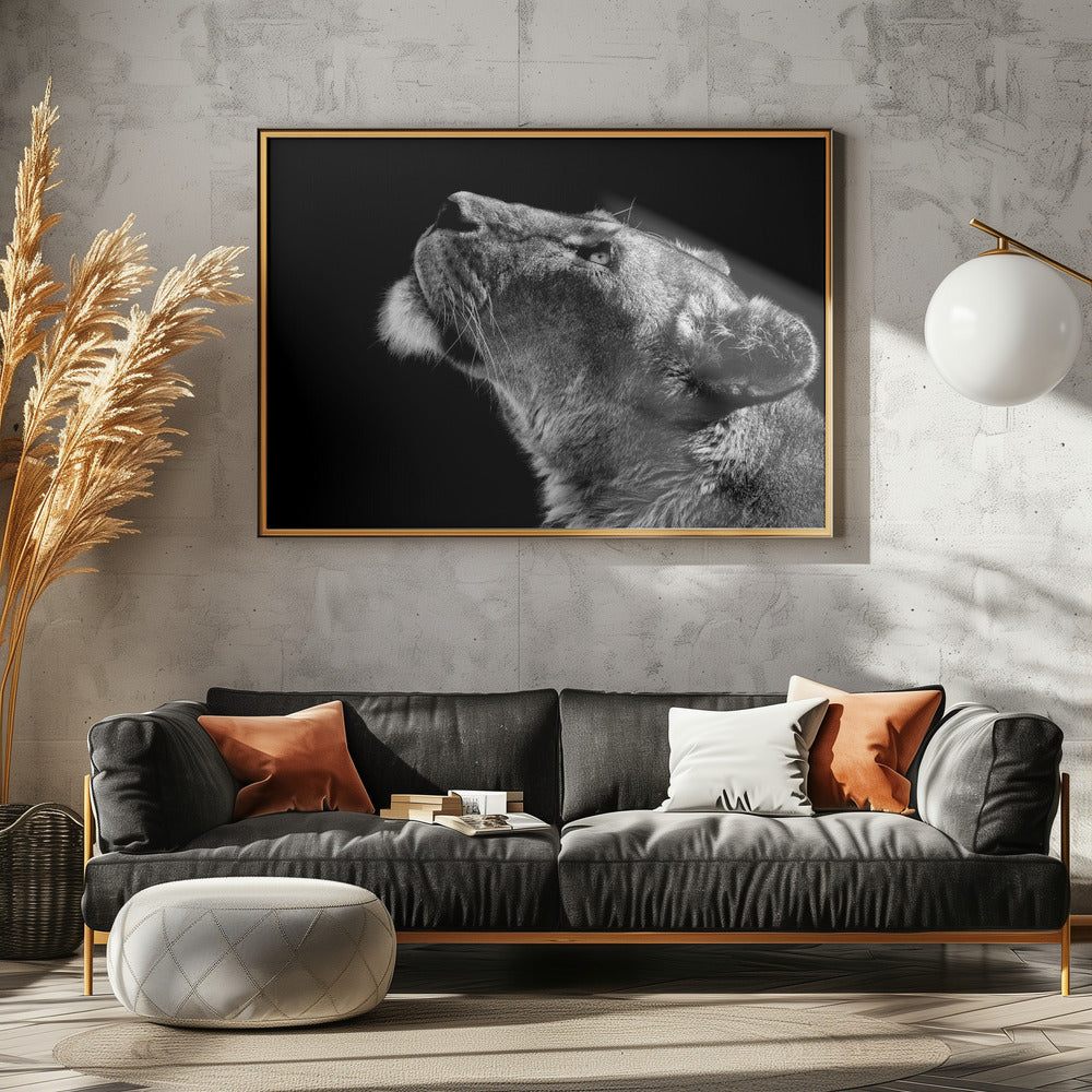 Guardando in alto | Poster - Stampe d’Arte