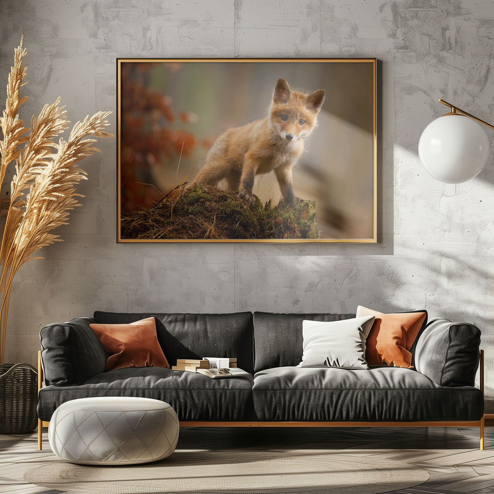 Volpe | Poster - Stampe d’Arte