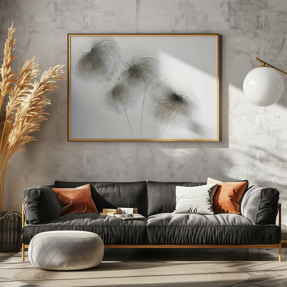 Clematis | Poster
