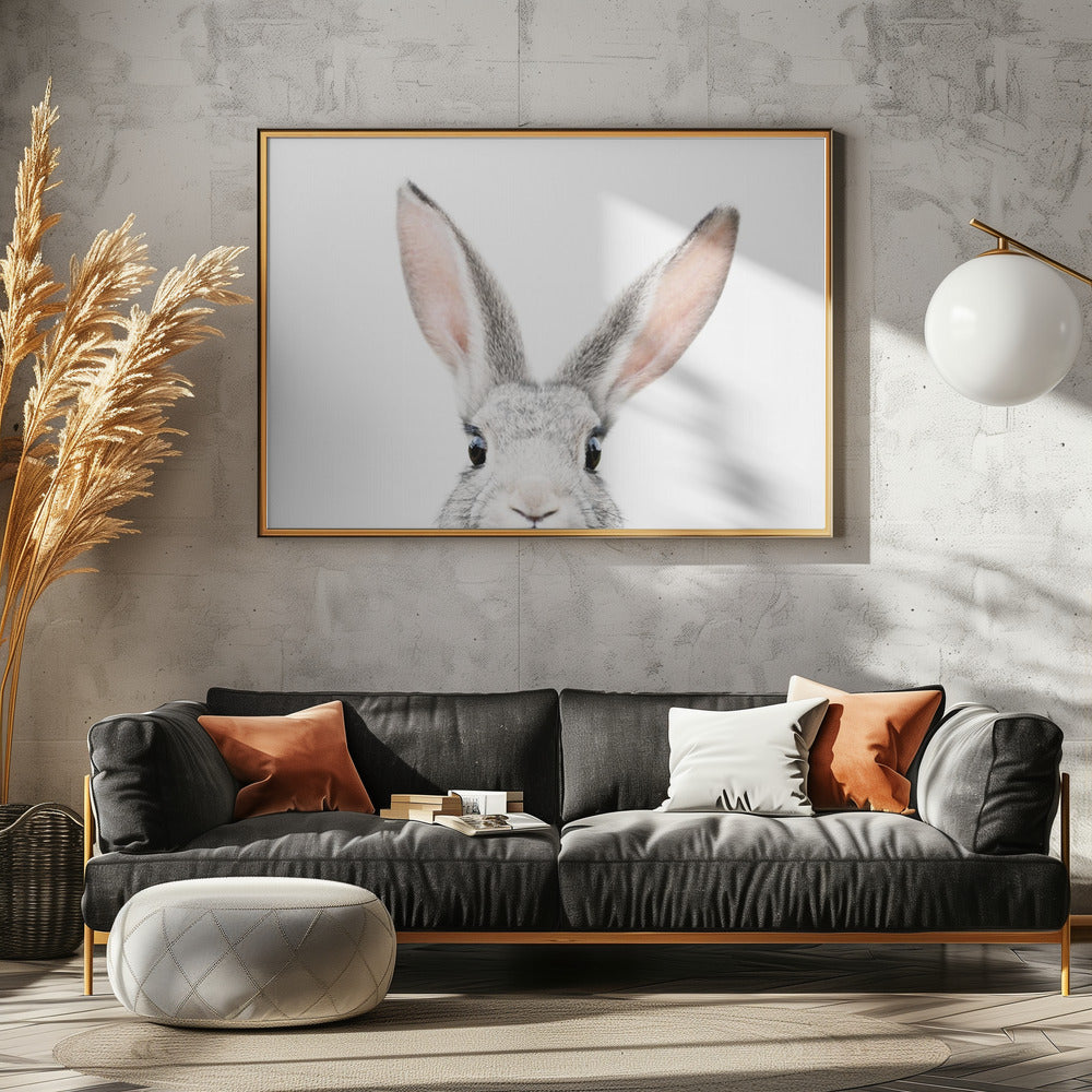 Kikker Kanin | Plakater - Kunsttryk