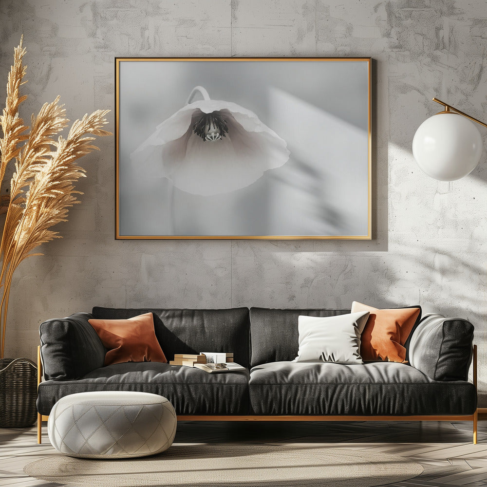 Förgänglig skönhet | Poster
