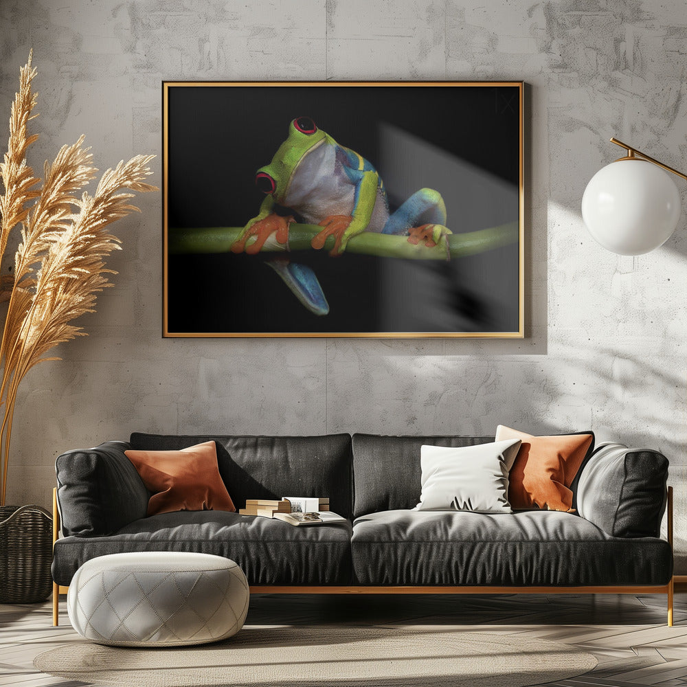 Curiosità | Poster - Stampe d’Arte
