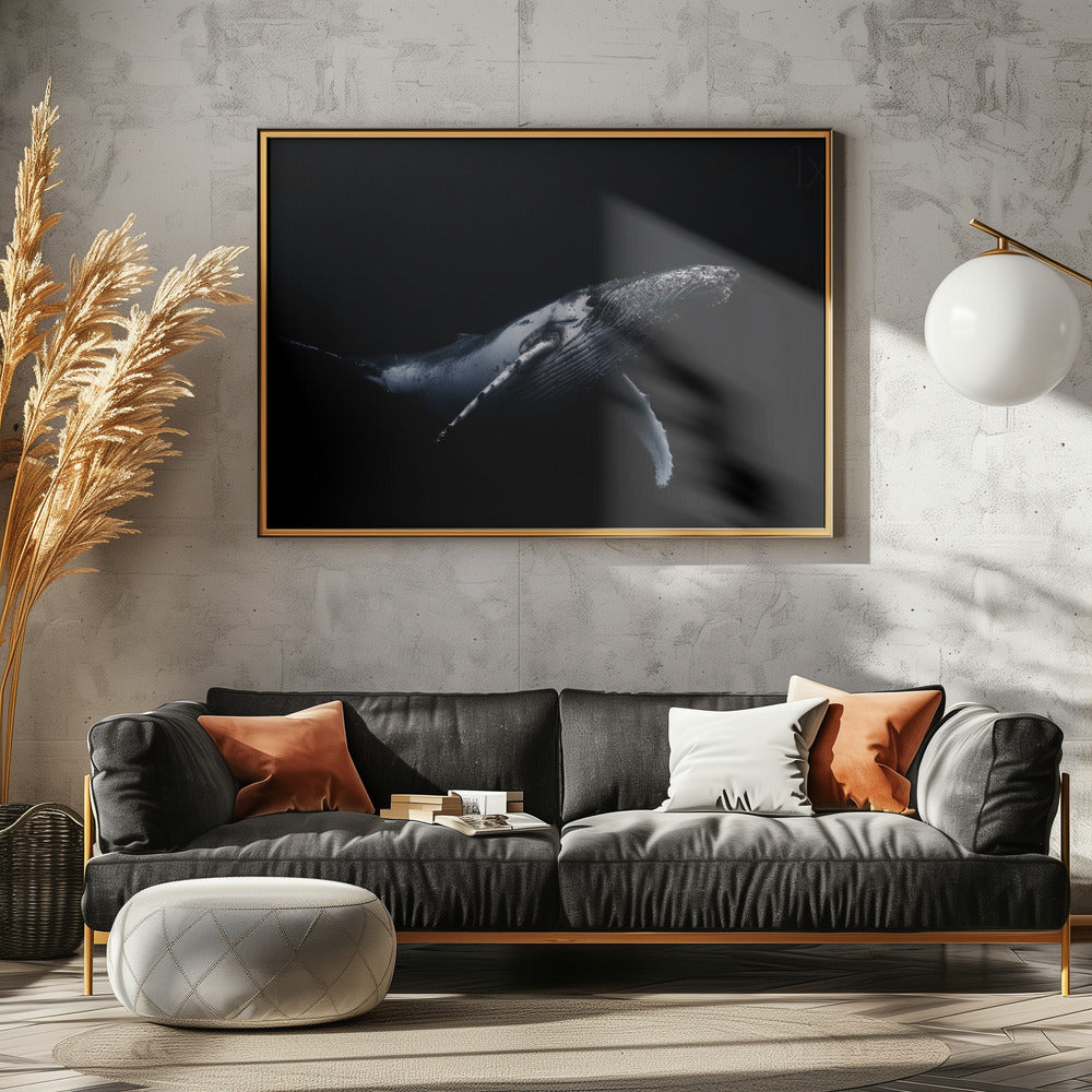 Sort & Hval | Plakater - Kunsttryk
