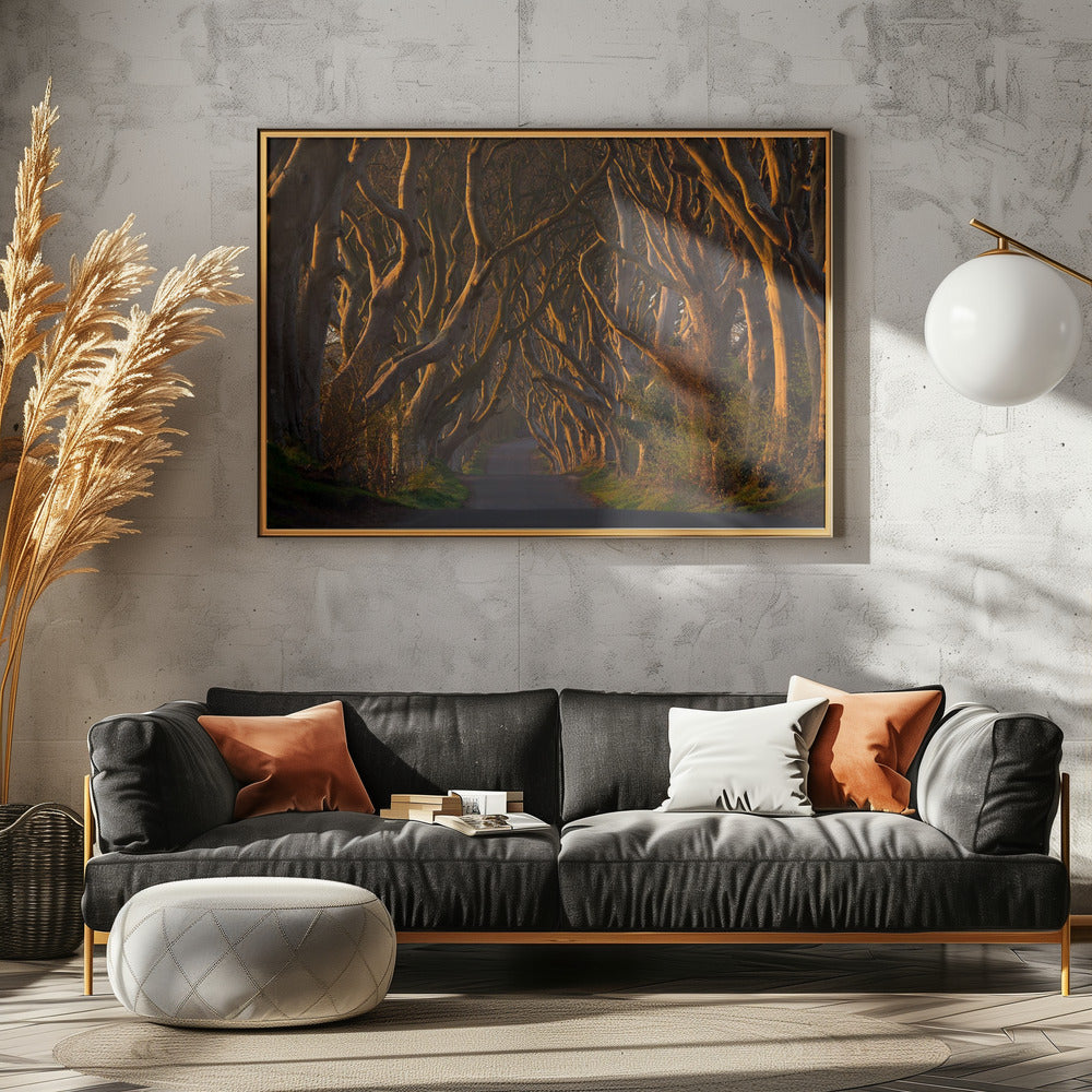 Les haies sombres au soleil du matin | Posters - Affiche Artistique