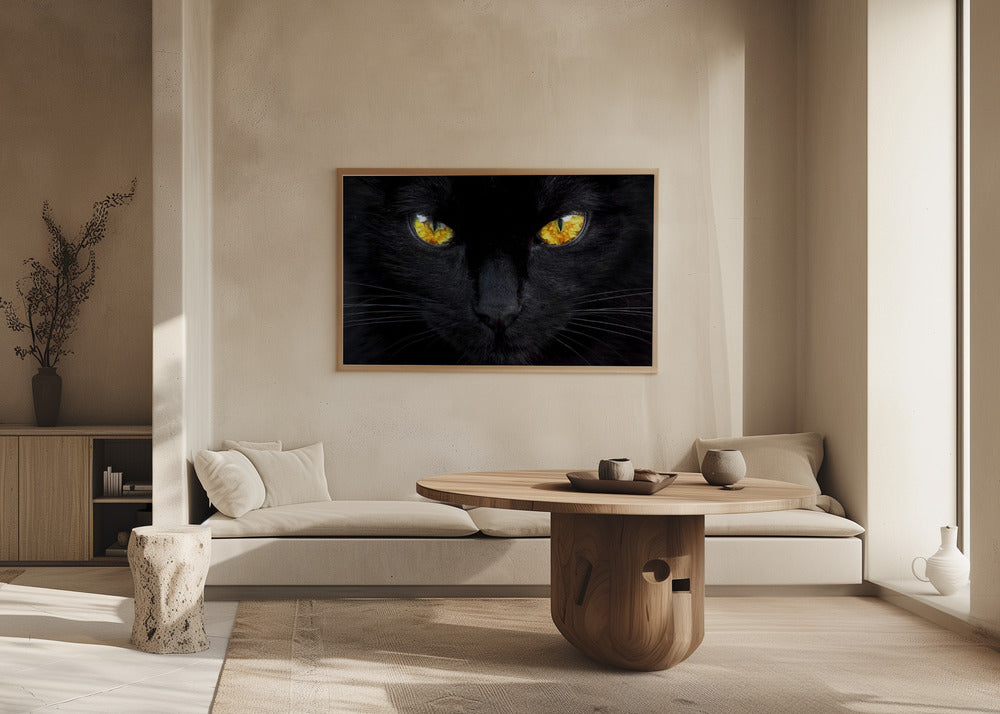 L'ipnotizzatore della notte | Poster - Stampe d’Arte