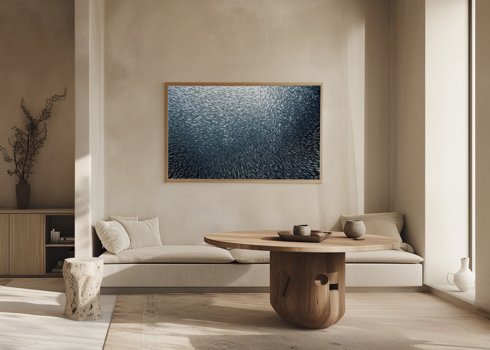 Fuochi d'artificio di sardine | Poster - Stampe d’Arte