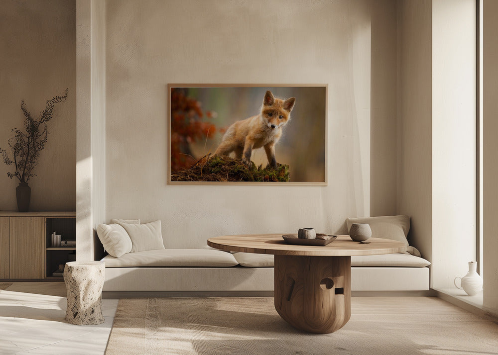 Volpe | Poster - Stampe d’Arte