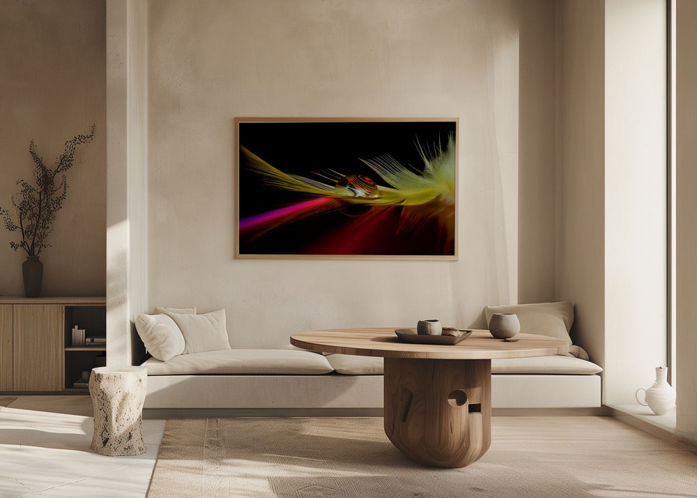 Colores en la gota | Posters - Impresiones de Arte
