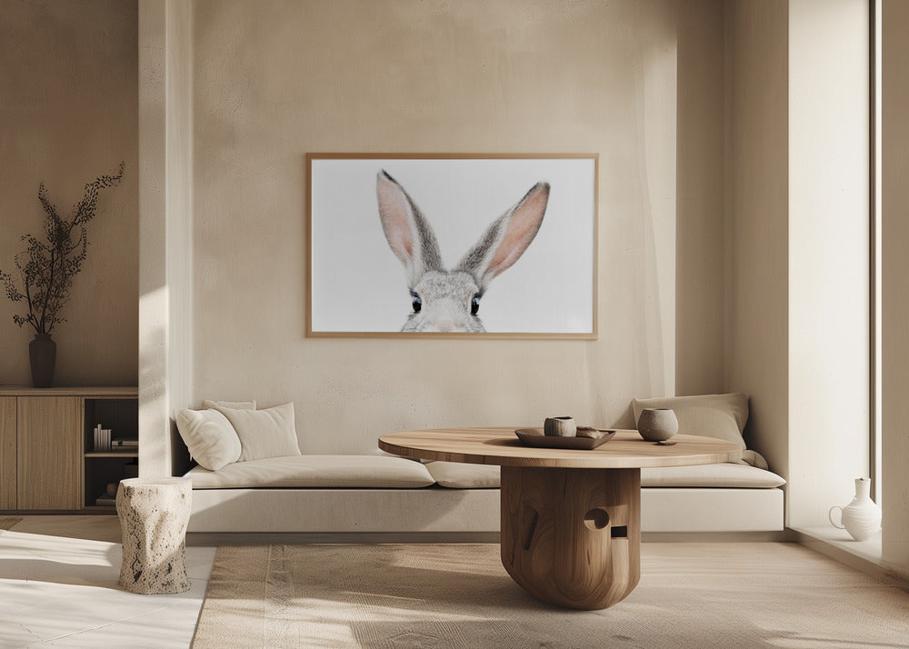 Kikker Kanin | Plakater - Kunsttryk