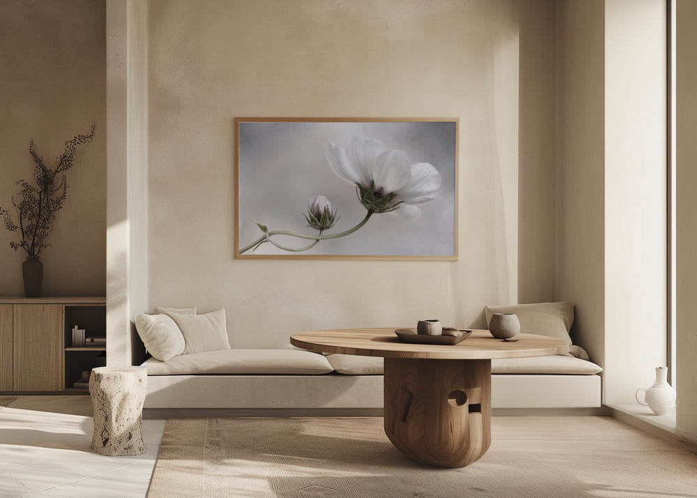 Simplemente Cosmos | Posters - Impresiones de Arte