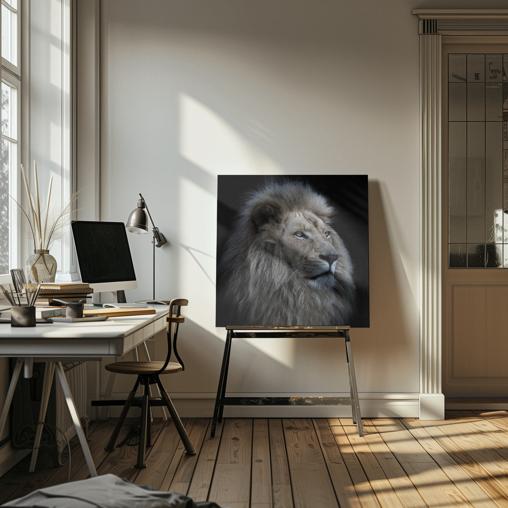 Lion fier | Toile