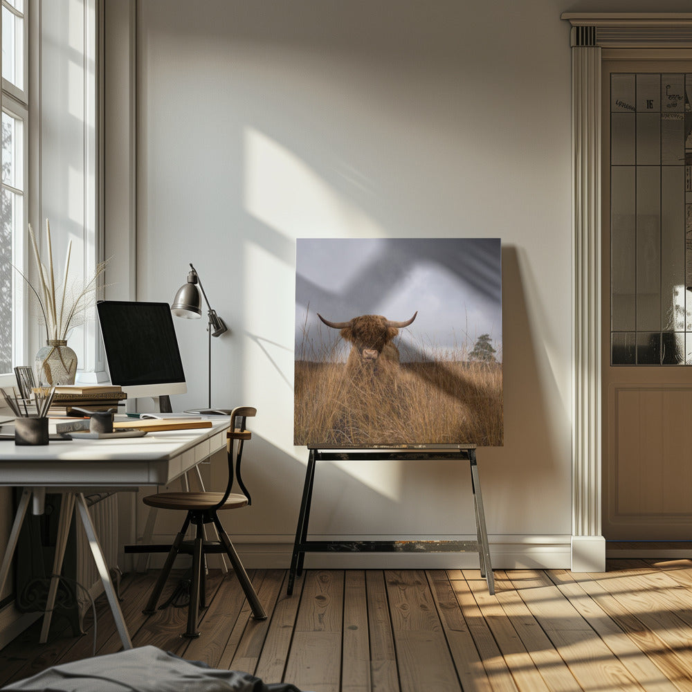 Ich war es nicht | Leinwand-Bilder