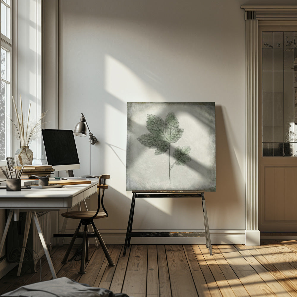 Avant le déclin | Toile