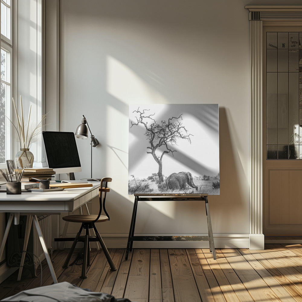 L'arbre et l'éléphant | Toile