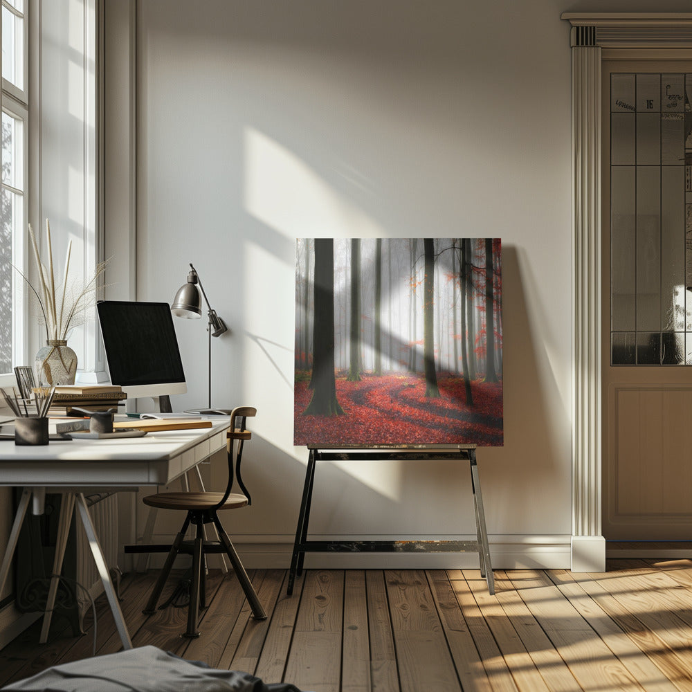 Herbstliche Spuren | Leinwand-Bilder