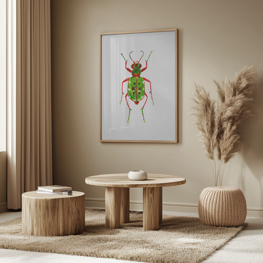 Green tiger beetle or Cicindela campestris | Poster