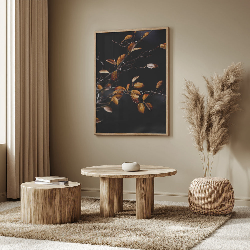 Autumn Leaves 15 | Poster