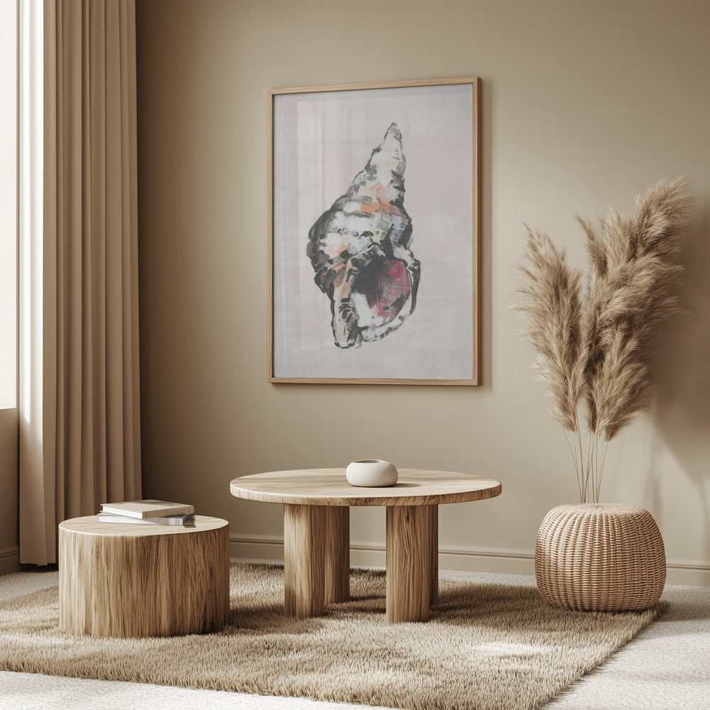 Shell Collector Art Print No 2 | Poster