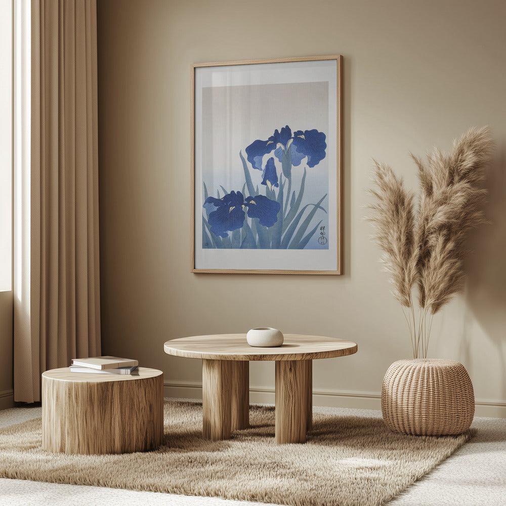 Iris Flowers | Poster