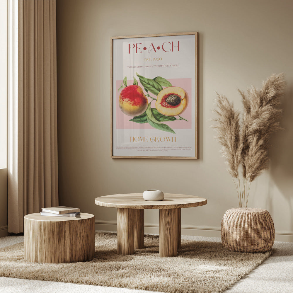 Vintage Style Peach Illustration | Poster