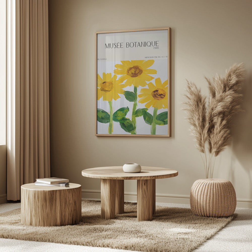 Museebotaniqueno27 | Poster