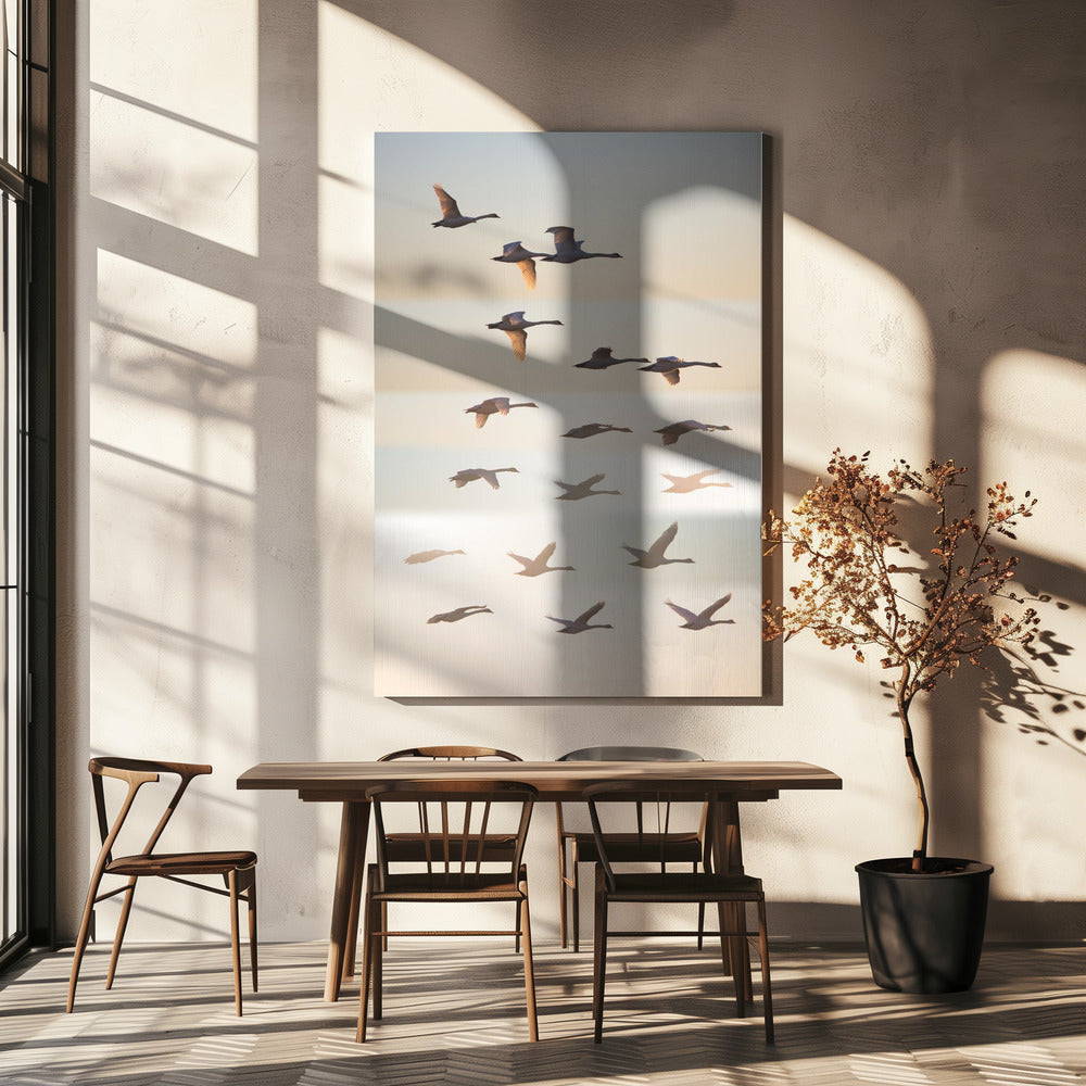 Förbi solen. Canvas