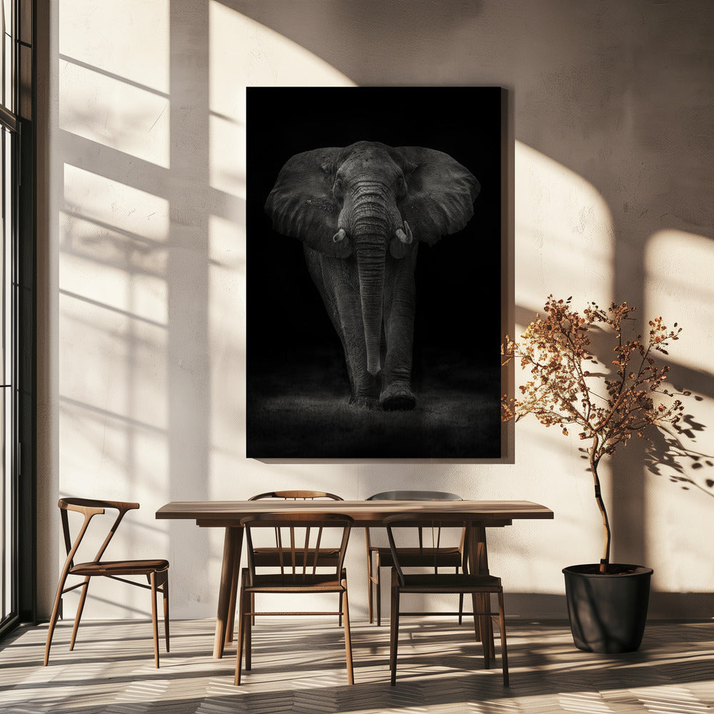 Ngorongoro-tjuren | Canvas