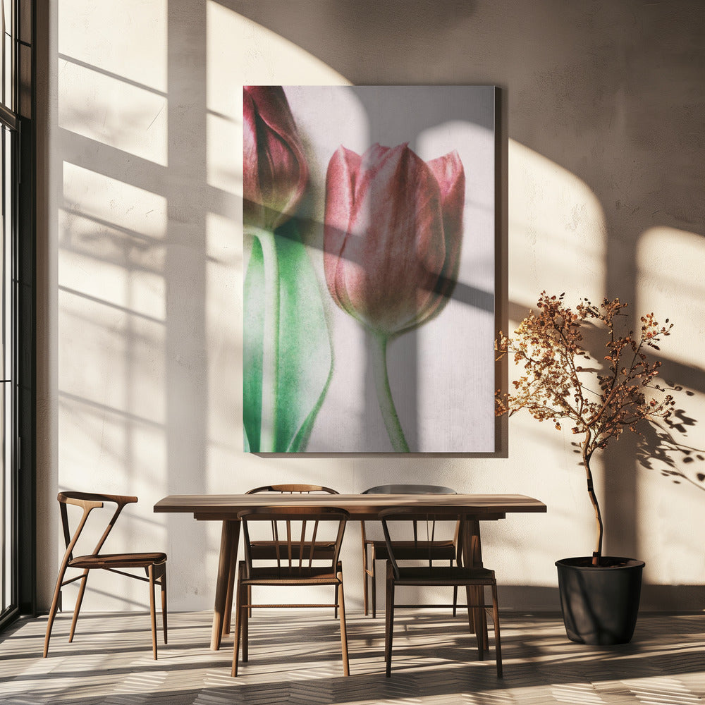 Les amoureux du printemps | Toile