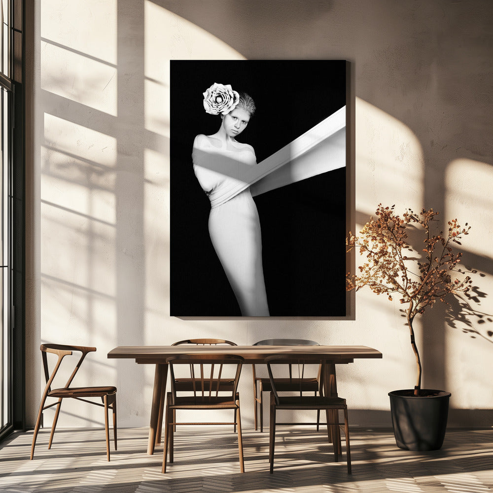 Énigme élégante | Toile