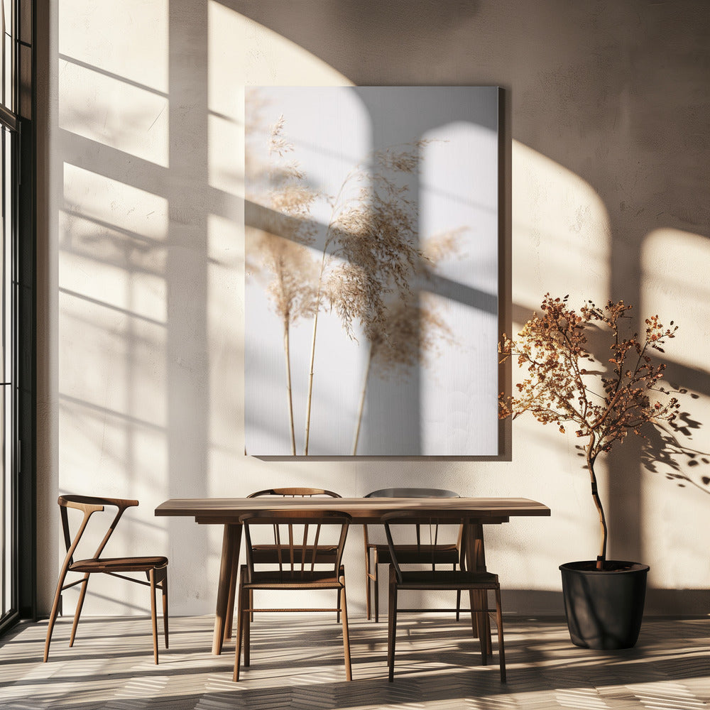 Reed Grass Grey 09 | Canvas