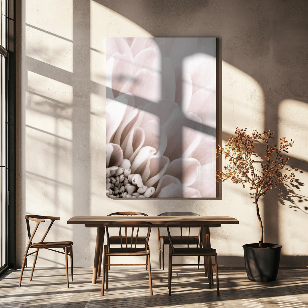 Chrysanthemum No 03 | Canvas