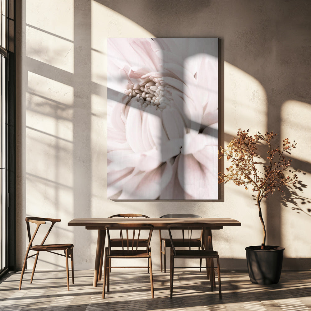 Chrysanthemum No 05 | Canvas