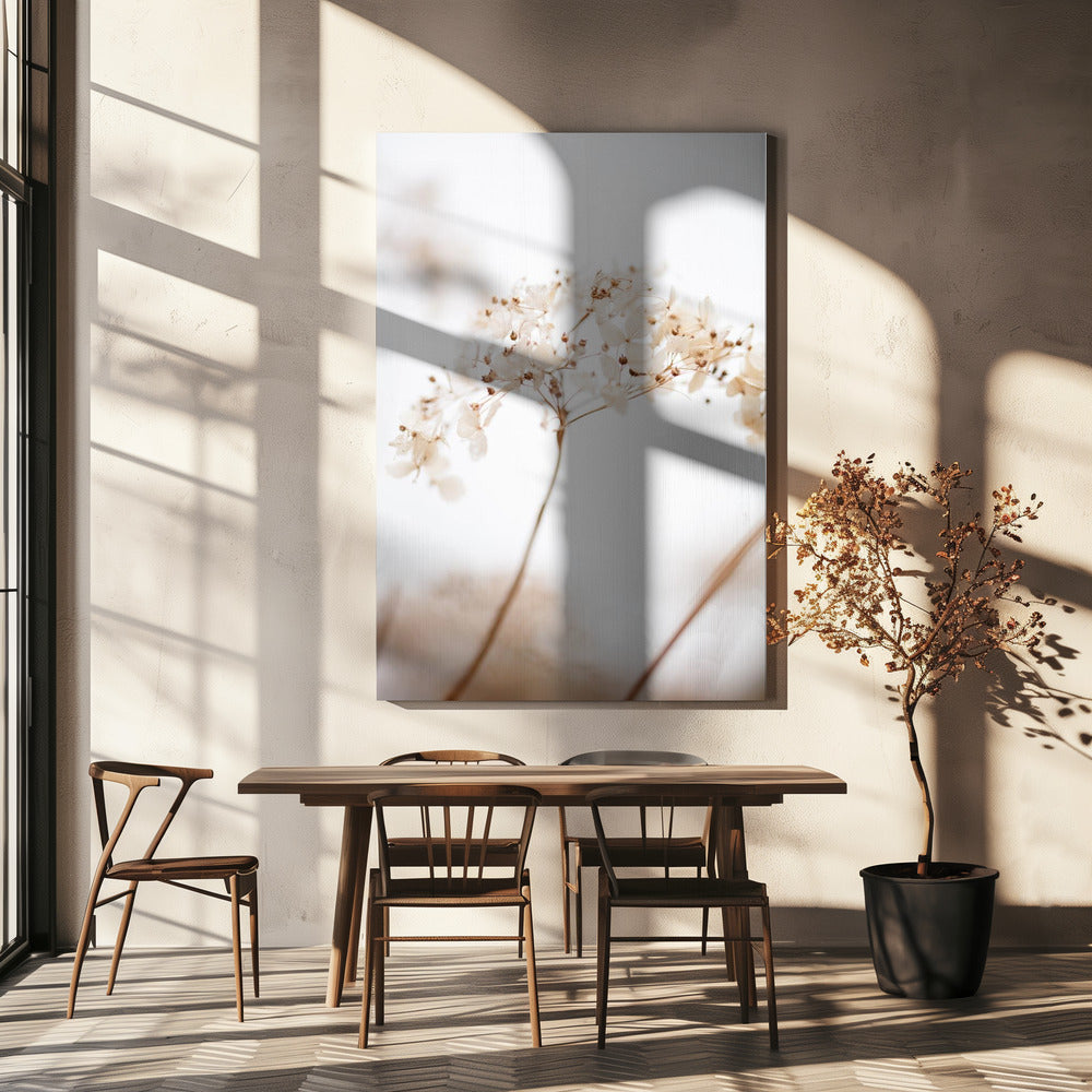 Fleur séchée douce_brun | Toile