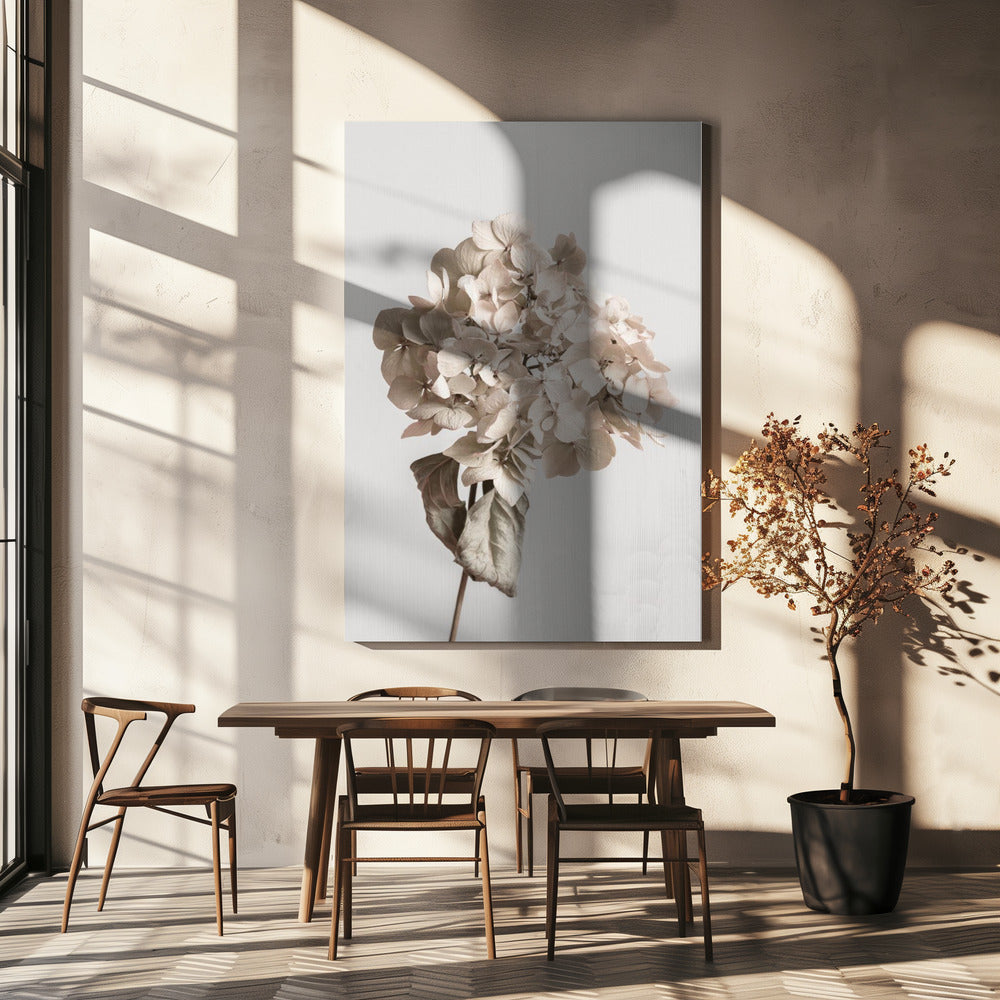 Beige torkad blomma | Canvas