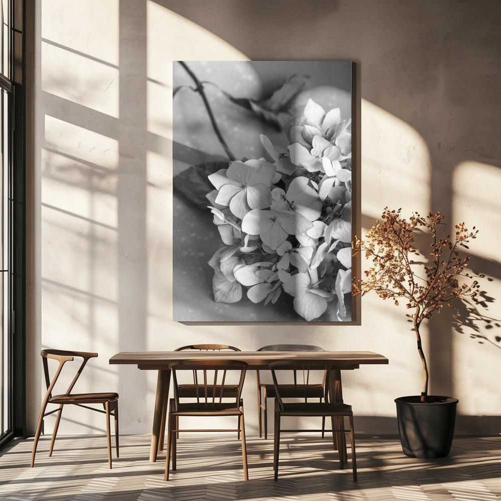 Assiette de fleurs séchées_noir et blanc | Toile