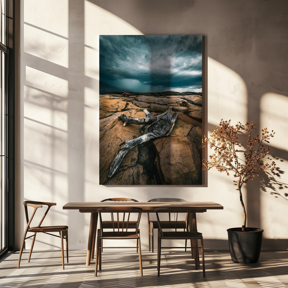 Bois flotté | Toile