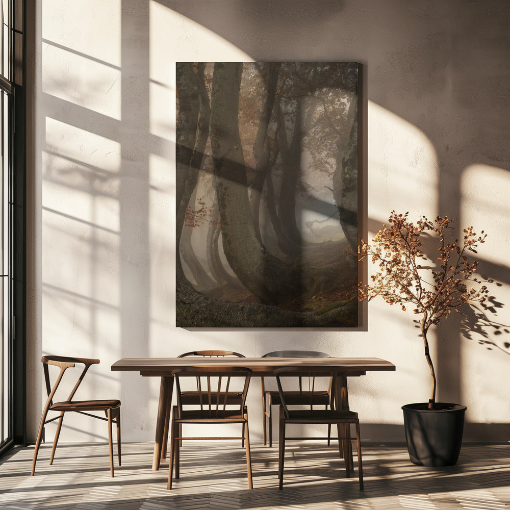 hêtres tortueux | Toile