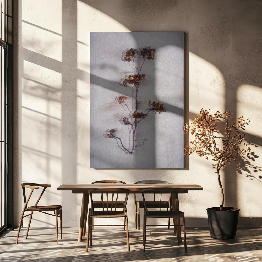 The Decay | Canvas