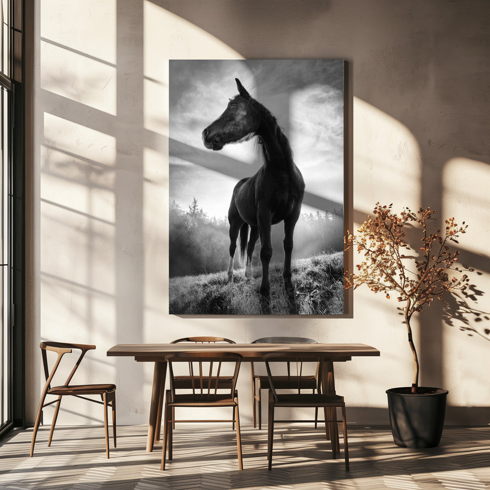 Cheval rétroéclairé | Toile