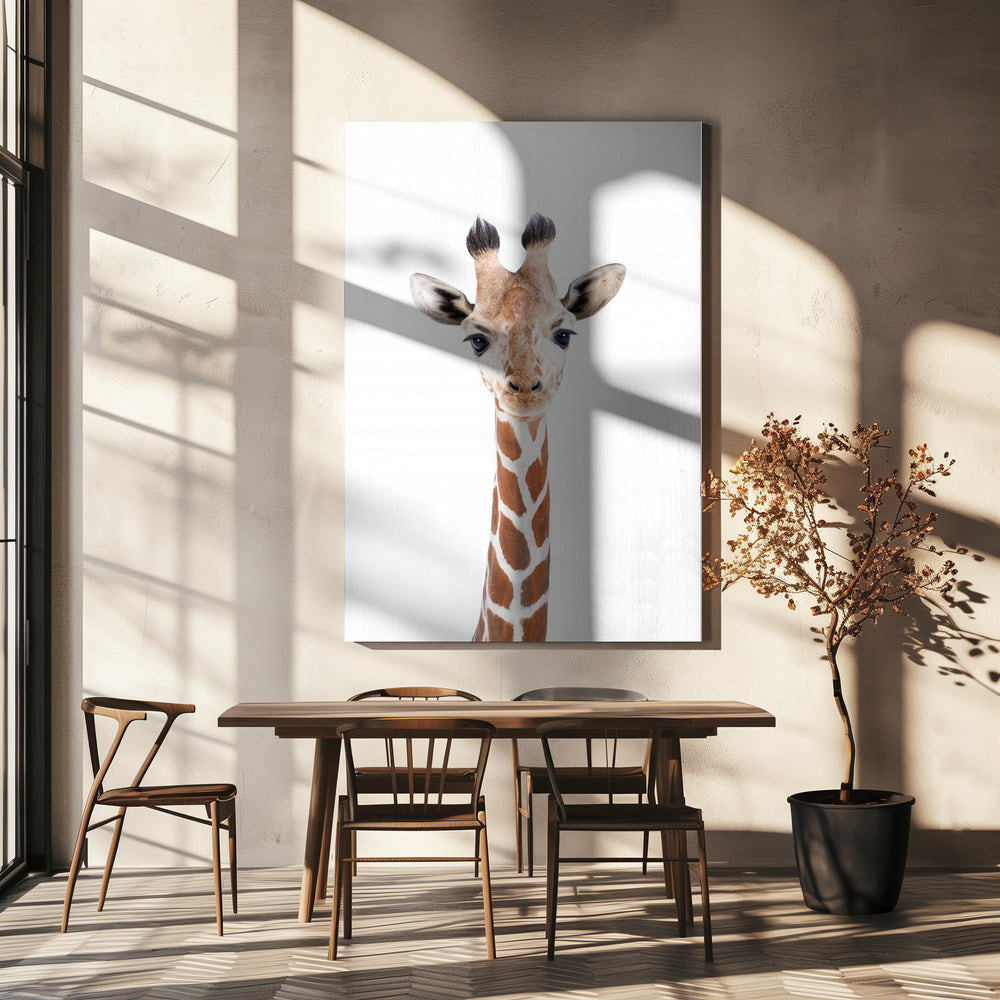 Bébé girafe | Toile